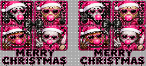 16oz Christmas-S  2798